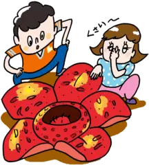 世界で一番大きな花のお話