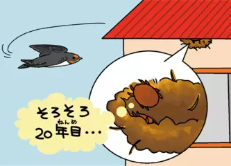 マダニの仲間は飲まず食わずで10年以上も生きる