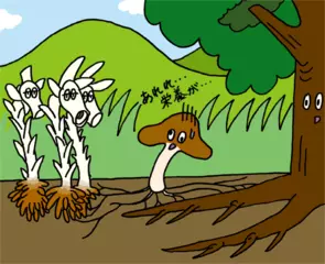 植物をやめた植物の謎