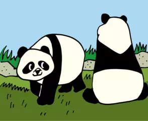 パンダはどうして白黒なの？