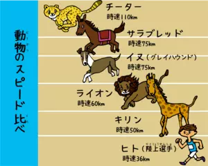 いちばん速く走れる動物はなあに？