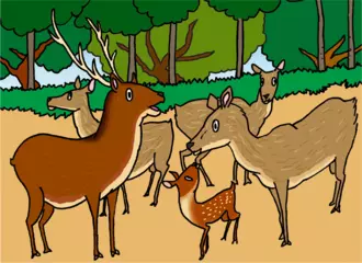 シカのツノは何のためにあるの？