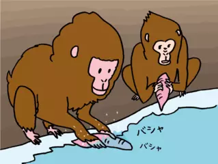 サルは「猿まね」をする？