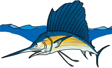 カジキのツノはなんのためにある？