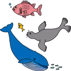 海水でのどをうるおせる動物とうるおせない動物