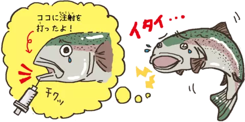 魚は痛みを感じているの？