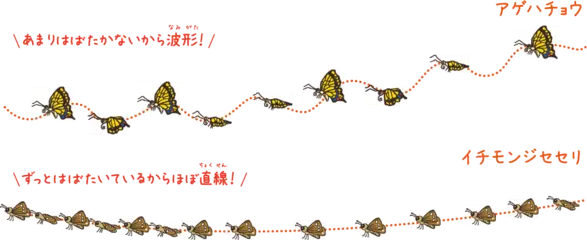 チョウやガはどうやって飛ぶ？