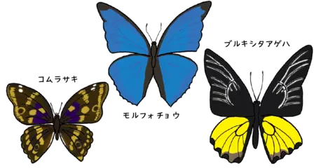 幻想的な色をしたチョウのはね