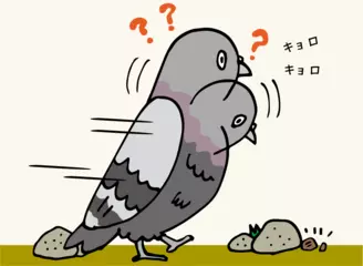 ハトはなぜ首を振って歩くのか？