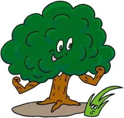 木はどうして大きい体を支えられるの？