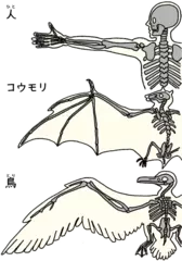 エドモンド・ヒラリー