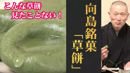窪みに「蜜」と「きな粉」！？世にも珍しい草餅！向島／志”満ん草餅「餡入り・餡なし」