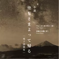 空をさまよって帰る