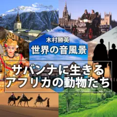 サバンナに生きるアフリカの動物たち（世界の音風景シリーズ）