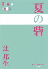 夏の砦（P+D BOOKS）