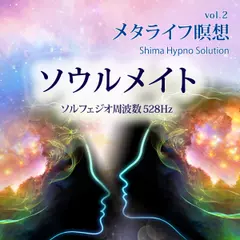 メタライフ瞑想 vol.2 ソウルメイト