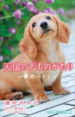 天国の犬ものがたり～夢のバトン～（小学館ジュニア文庫）