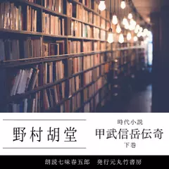 甲武信岳伝奇　下