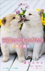 天国の犬ものがたり～僕の魔法～（小学館ジュニア文庫）