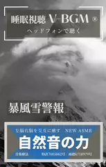 自然音の力 V-BGM 暴風雪警報
