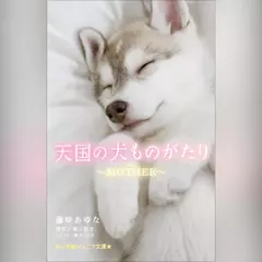 天国の犬ものがたり～MOTHER～ （小学館ジュニア文庫）