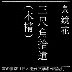 三尺角拾遺（木精）（日本近代文学名作選31）