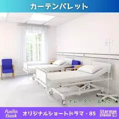 ショートドラマ85「カーテンパレット」