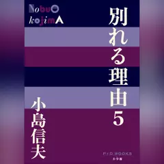 別れる理由5 （P+D BOOKS）