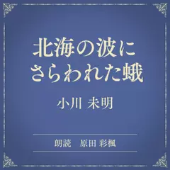 北海の波にさらわれた蛾（小学館の名作文芸朗読）