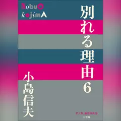 別れる理由6 （P+D BOOKS）