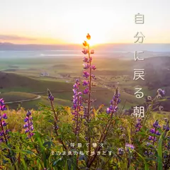 自分に戻る朝 ― 呼吸で整え、そのままの私で歩きだす ―