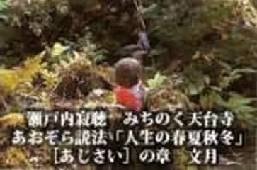 瀬戸内寂聴　みちのく天台寺あおぞら説法「人生の春夏秋冬」　[あじさい]の章　文月