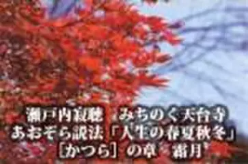 瀬戸内寂聴　みちのく天台寺あおぞら説法「人生の春夏秋冬」　[かつら]の章　霜月