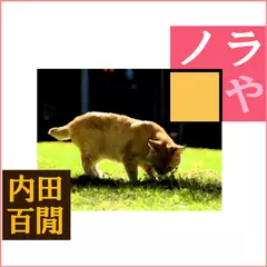 「ノラや」　-　wisの朗読シリーズ(39)